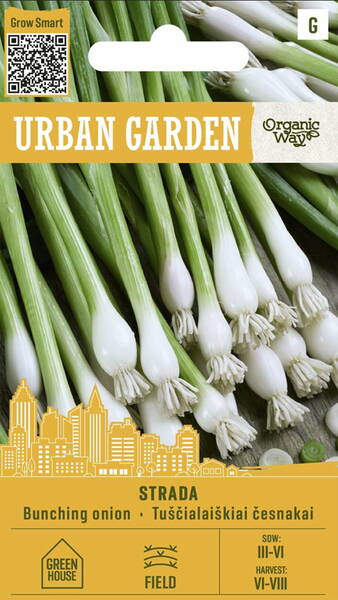 Лук батун на зелень "Страда" Лук батун на зелень "Страда"